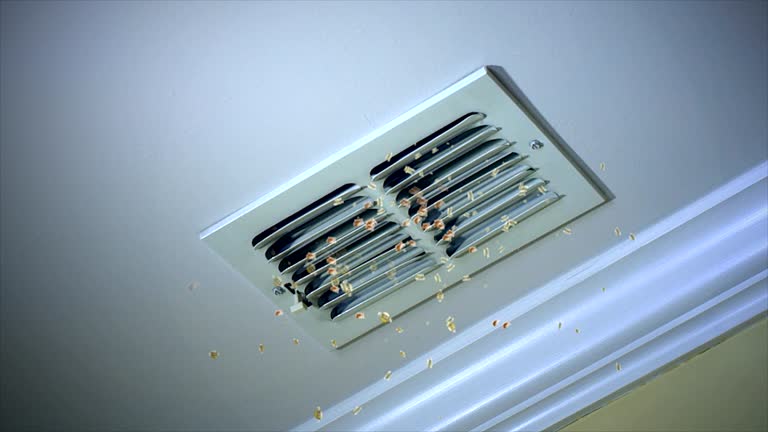 Best HVAC System Cleaning  in Greenwood, MS