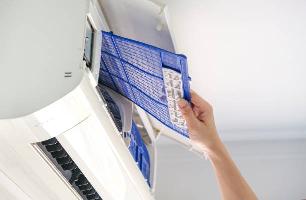 Best Air Duct Sanitizing Services  in Greenwood, MS