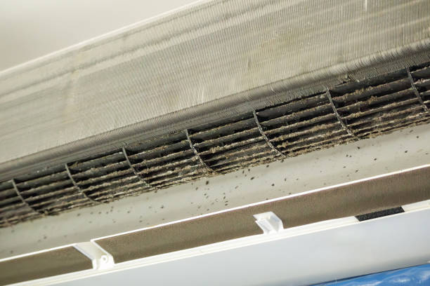 Best Local Air Duct Cleaning Services  in Greenwood, MS